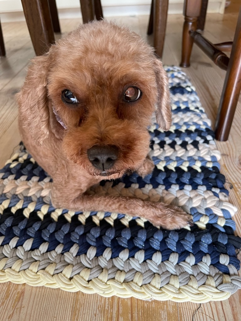 f:id:zappa38:20230914201908j:image