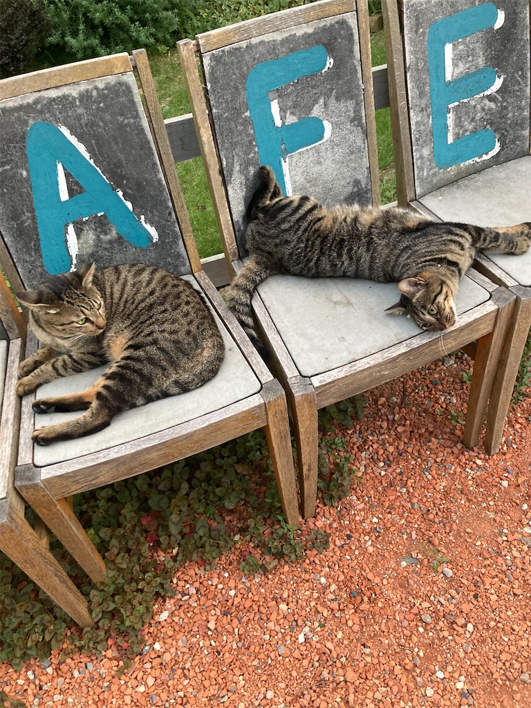 f:id:zappa38:20230917183209j:image