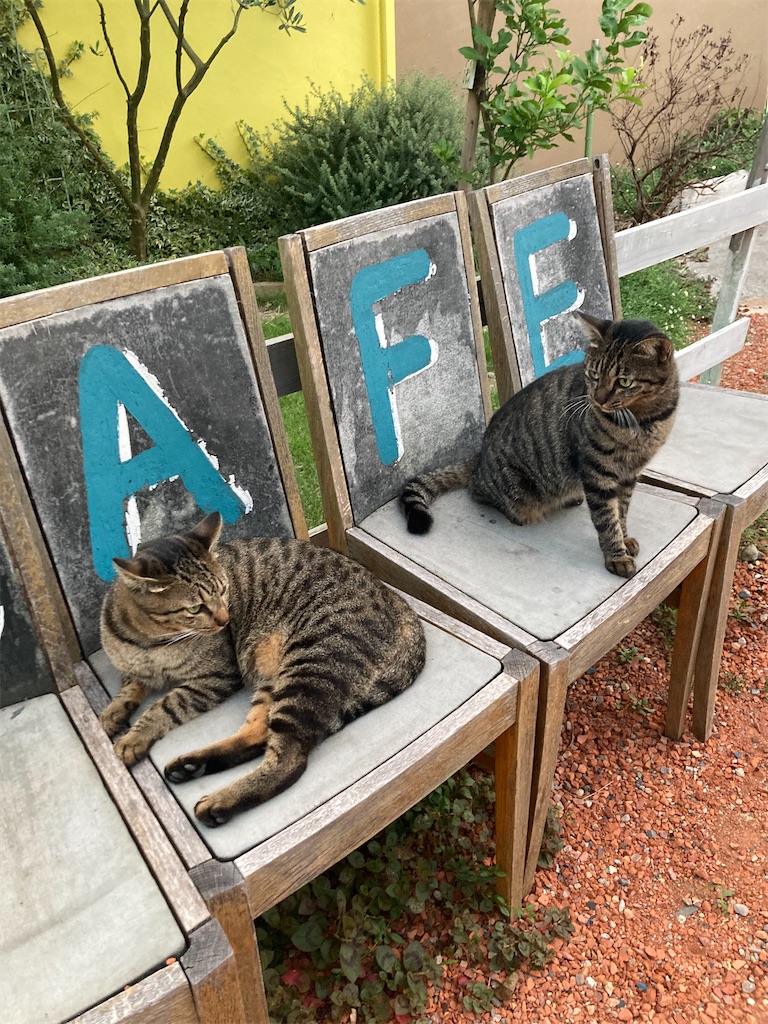 f:id:zappa38:20230917183213j:image