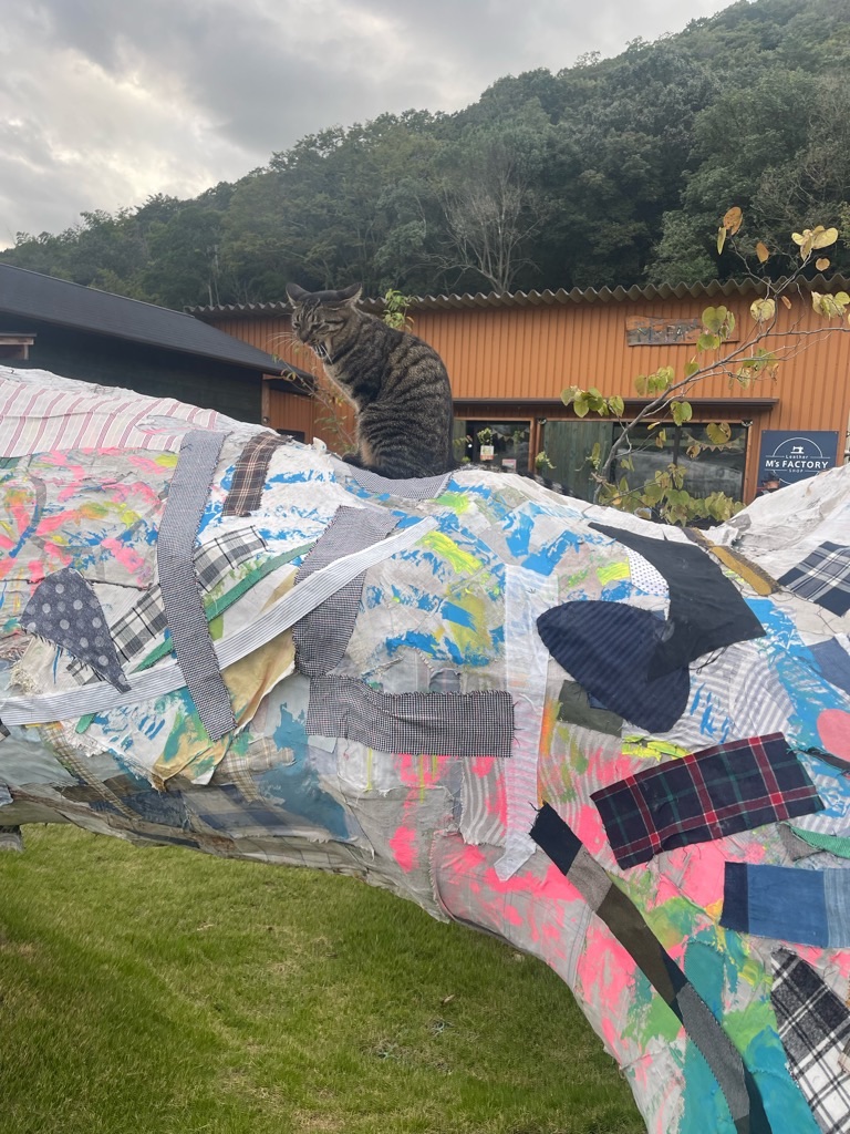 f:id:zappa38:20230928194806j:image