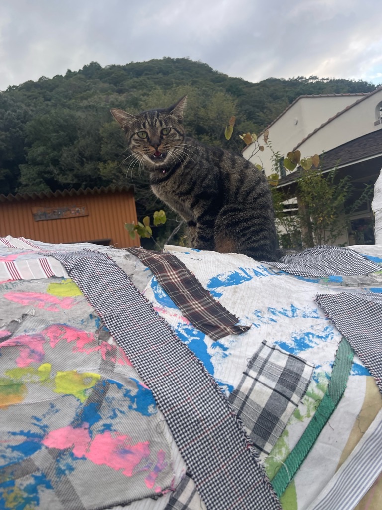 f:id:zappa38:20230928194831j:image