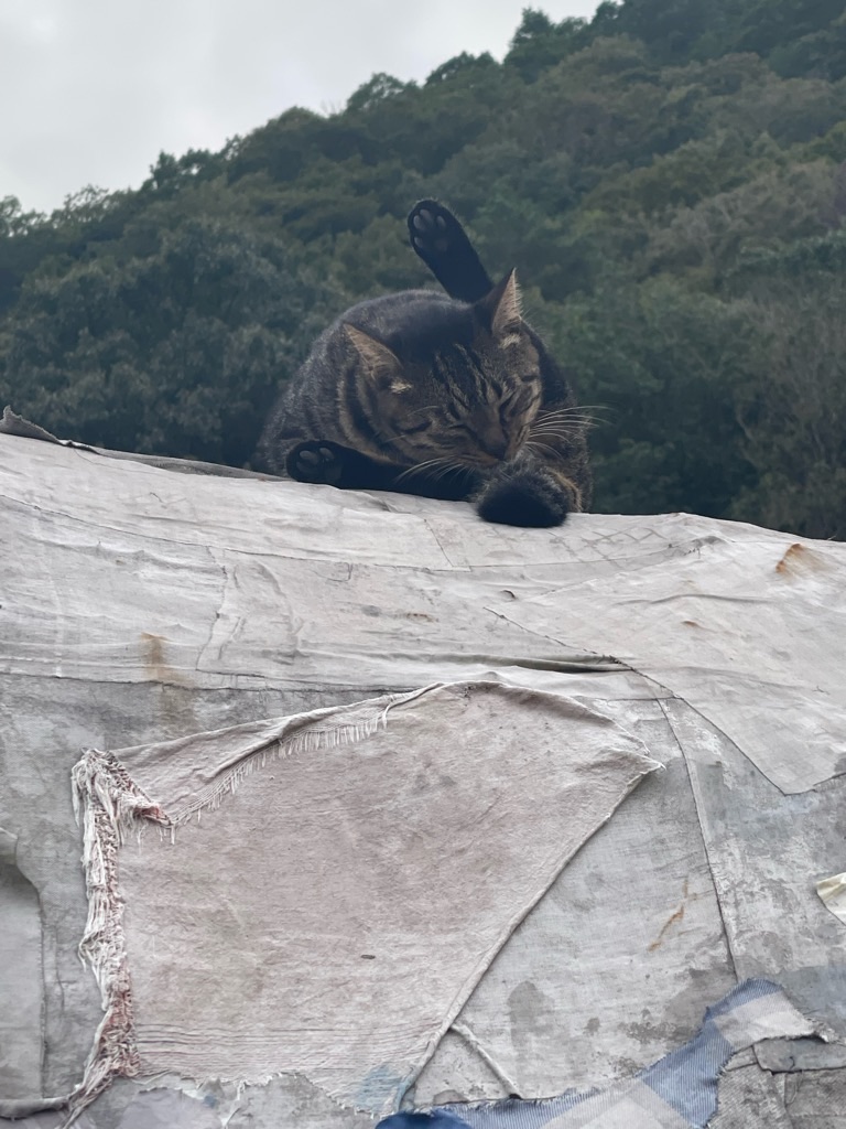 f:id:zappa38:20230928194858j:image