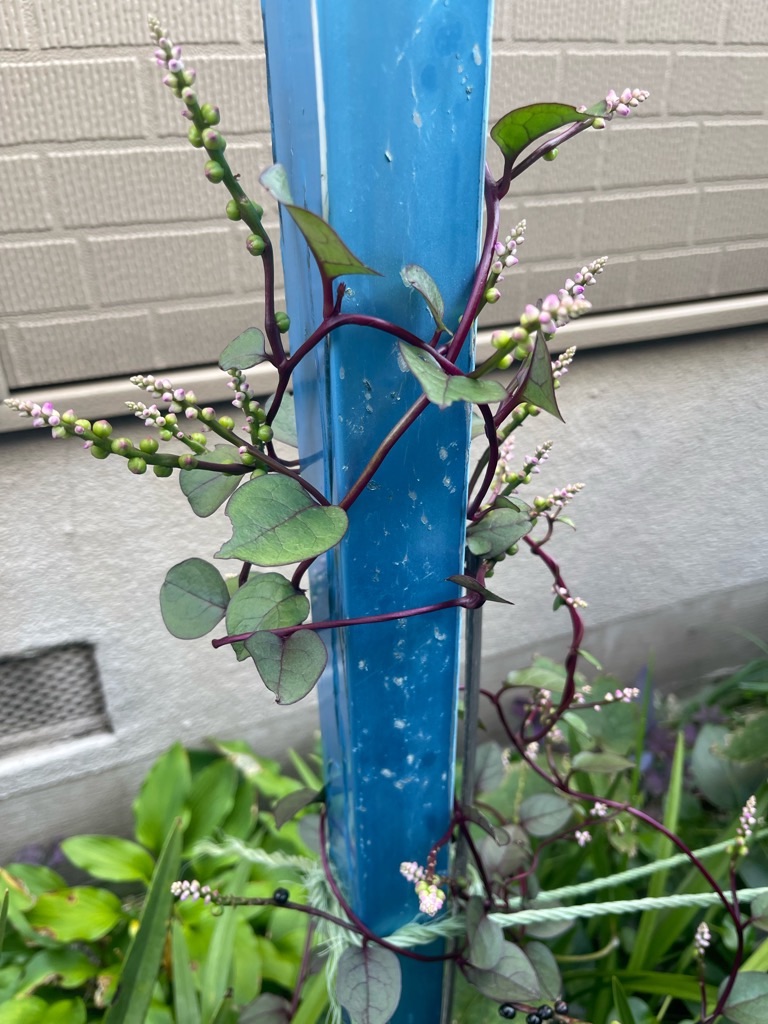 f:id:zappa38:20231004195239j:image f:id:zappa38:20231004195239j:image