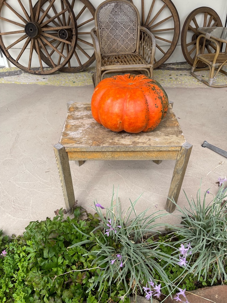 f:id:zappa38:20231005180329j:image f:id:zappa38:20231005180329j:image