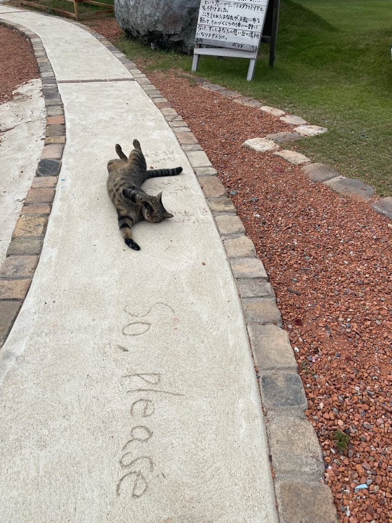 f:id:zappa38:20231005180332j:image f:id:zappa38:20231005180332j:image