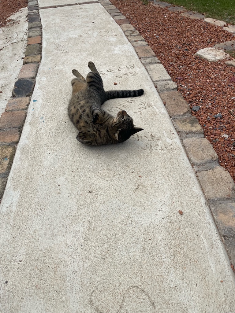 f:id:zappa38:20231005180336j:image f:id:zappa38:20231005180336j:image