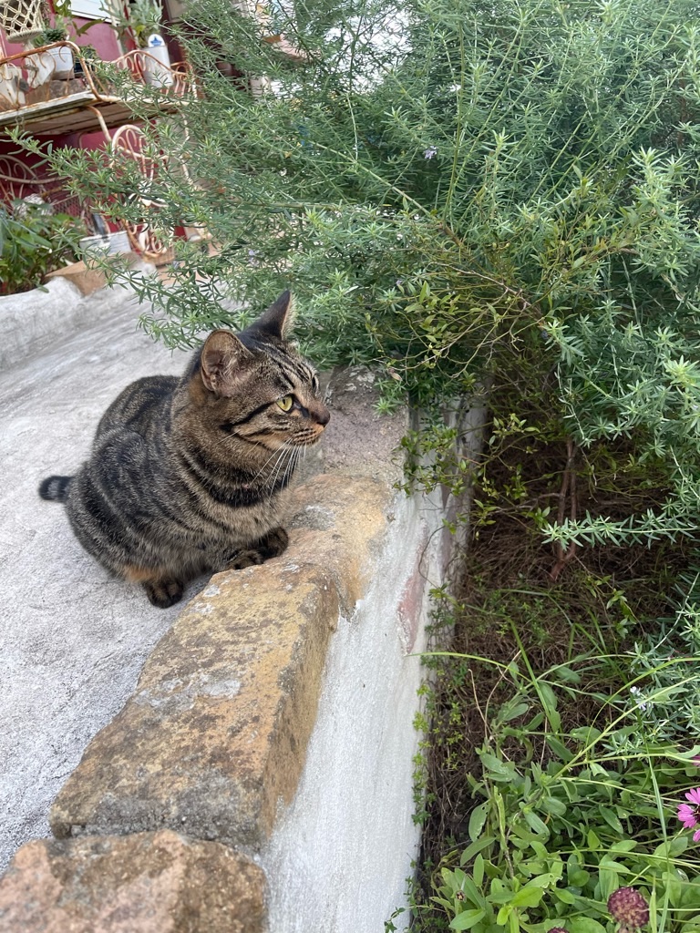 f:id:zappa38:20231005180340j:image f:id:zappa38:20231005180340j:image