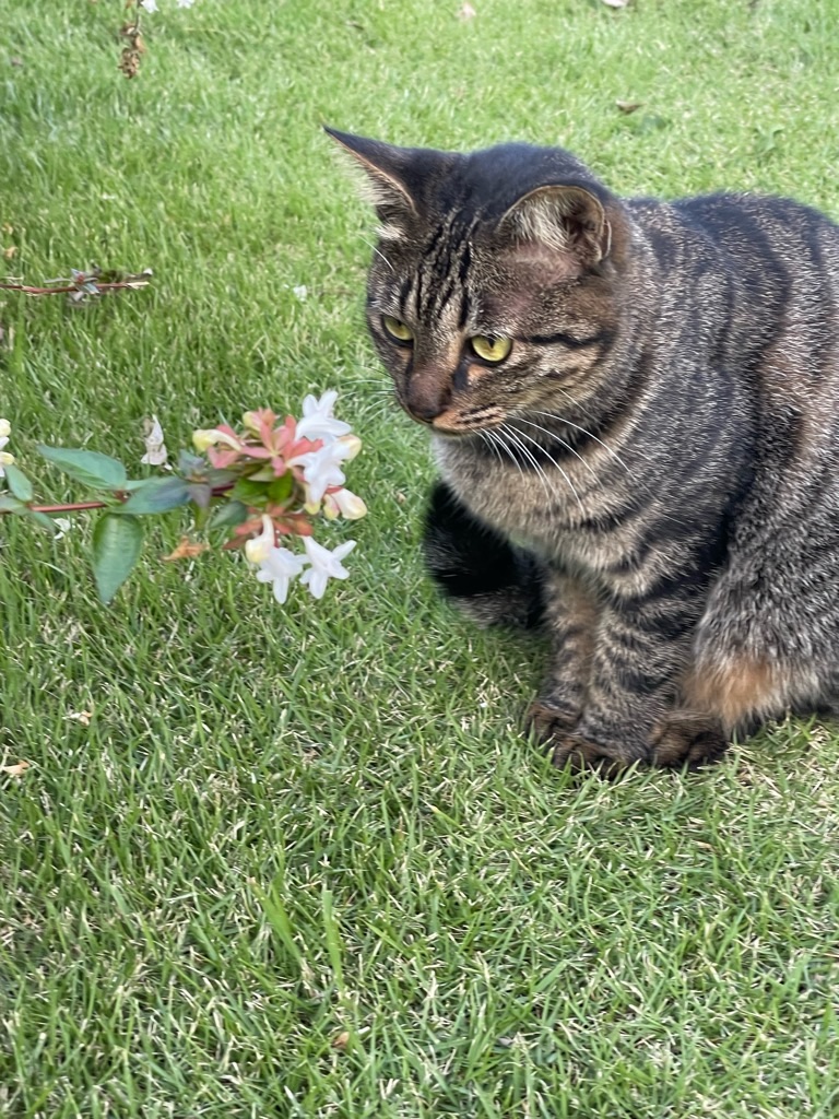 f:id:zappa38:20231005180357j:image f:id:zappa38:20231005180357j:image