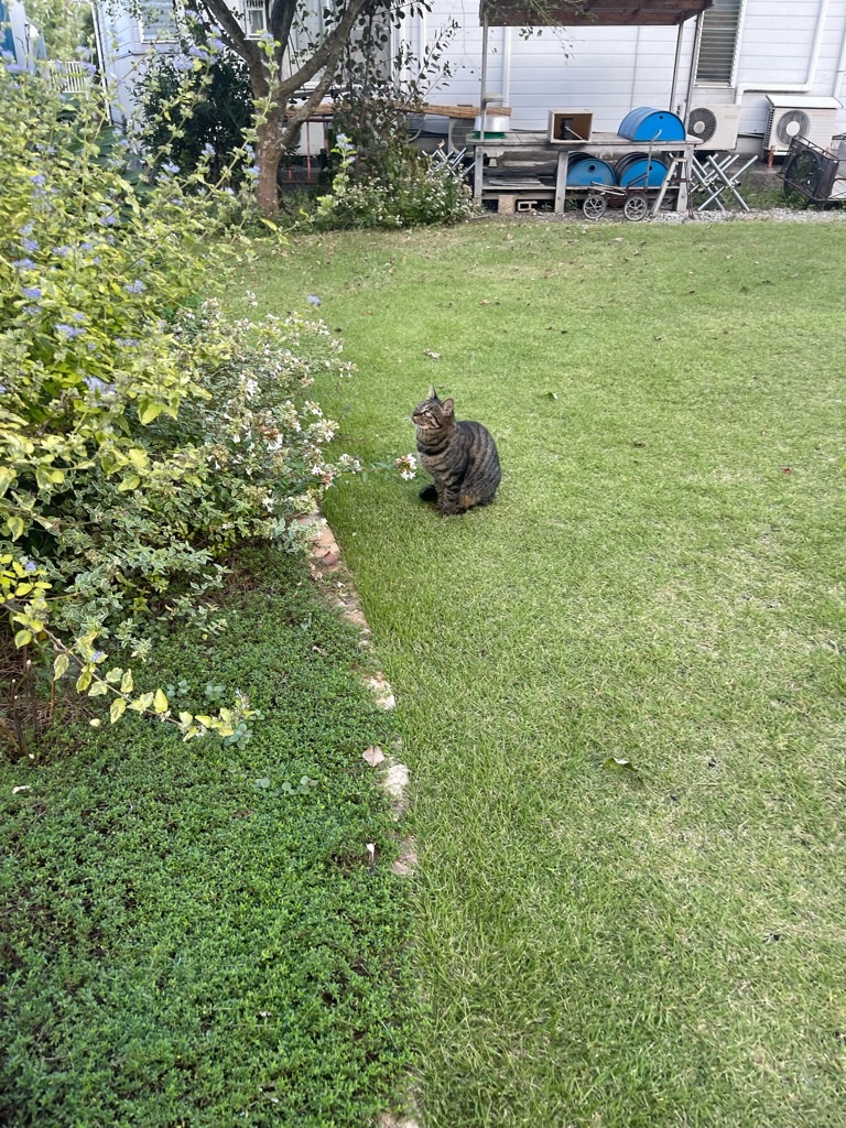 f:id:zappa38:20231005180434j:image f:id:zappa38:20231005180434j:image