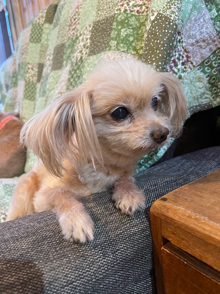 f:id:zappa38:20231007173729j:image