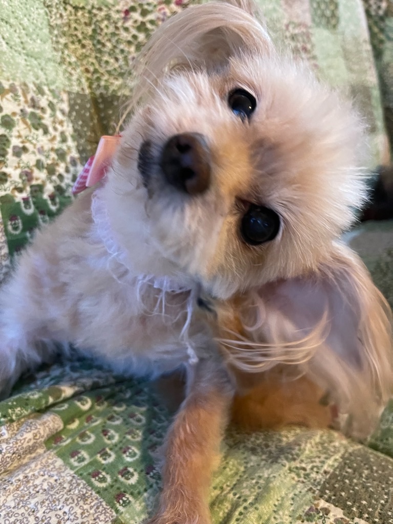 f:id:zappa38:20231007173816j:image