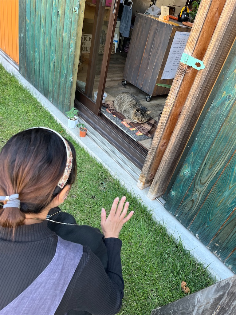 f:id:zappa38:20231018213303j:image