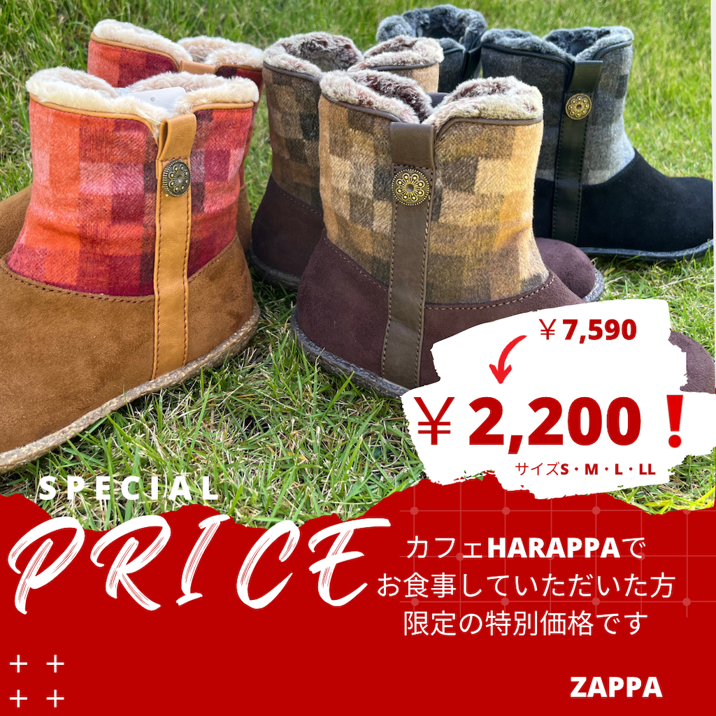 f:id:zappa38:20231019160223p:image