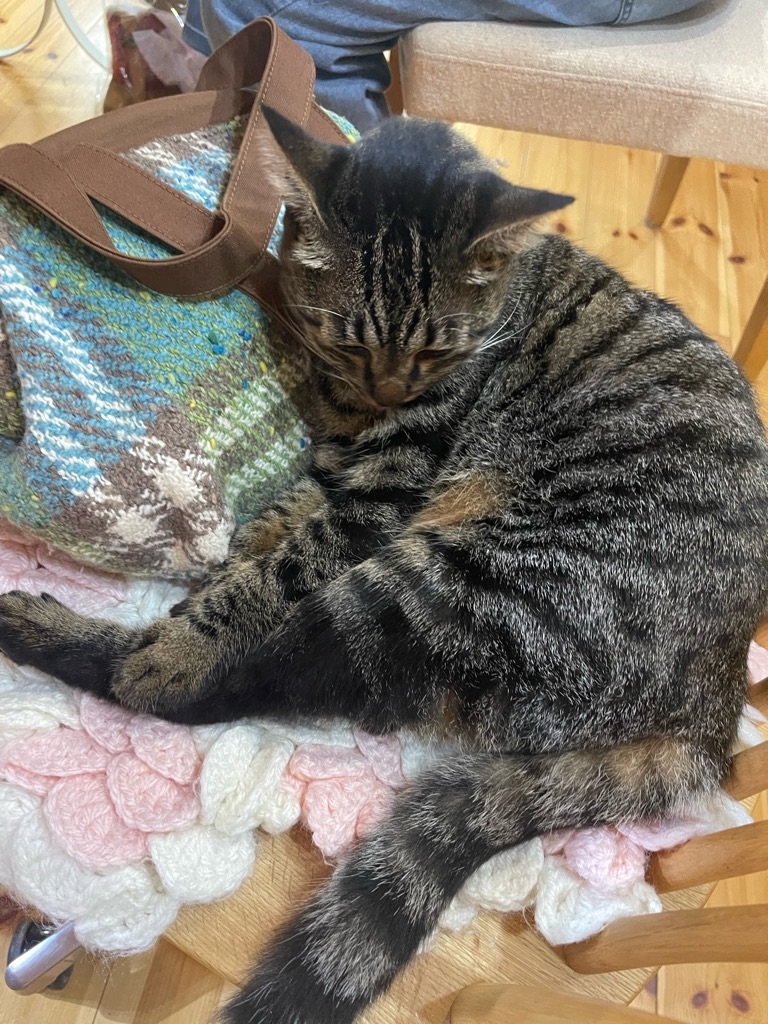 f:id:zappa38:20231019191857j:image