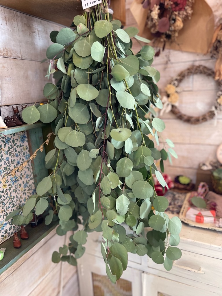 f:id:zappa38:20231019191900j:image