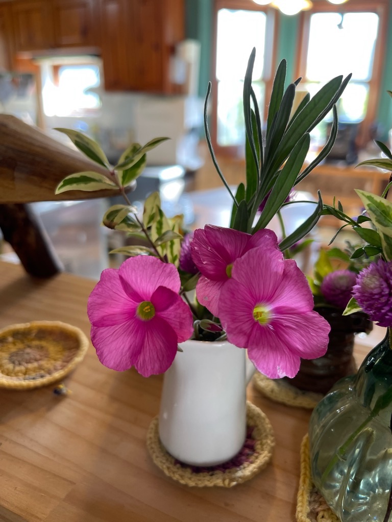 f:id:zappa38:20231019191924j:image