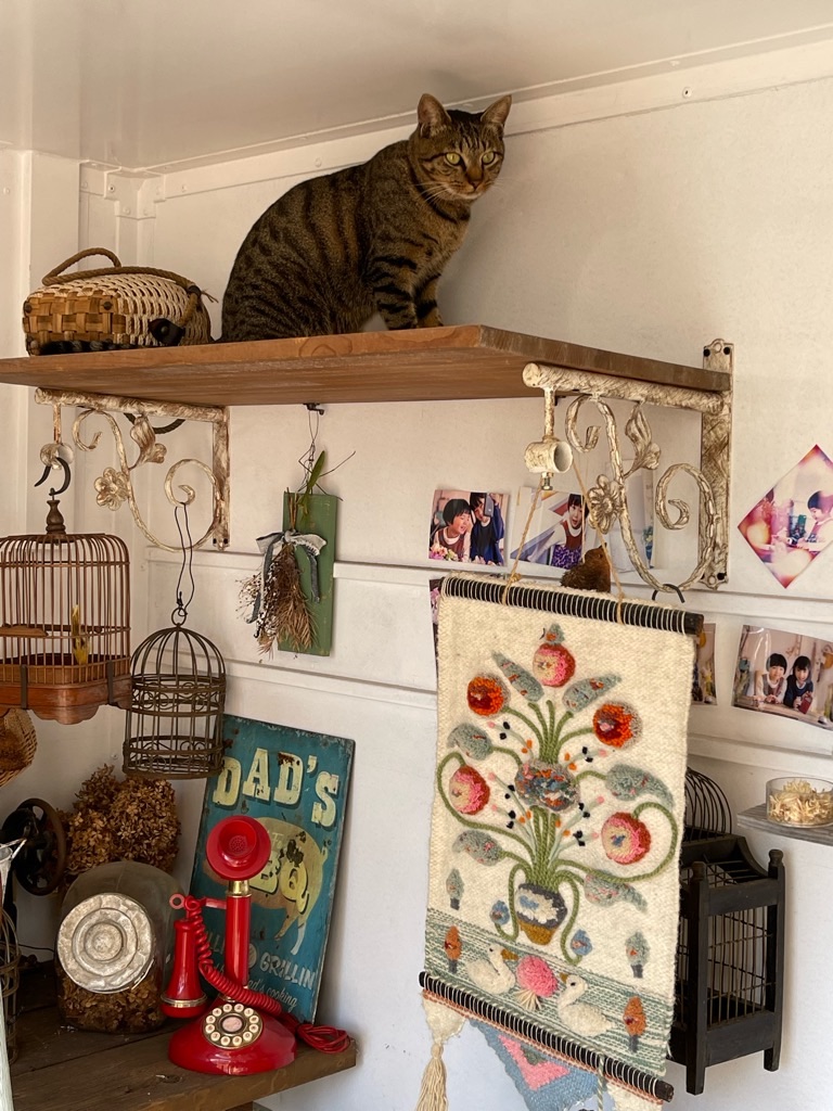 f:id:zappa38:20231019191928j:image