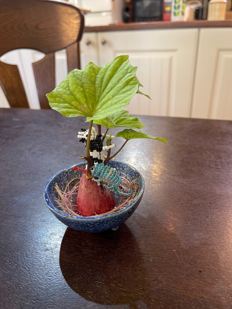 f:id:zappa38:20231019191935j:image