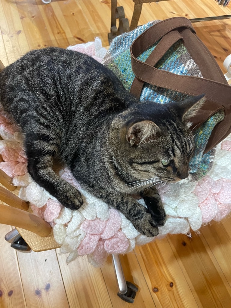 f:id:zappa38:20231019191942j:image