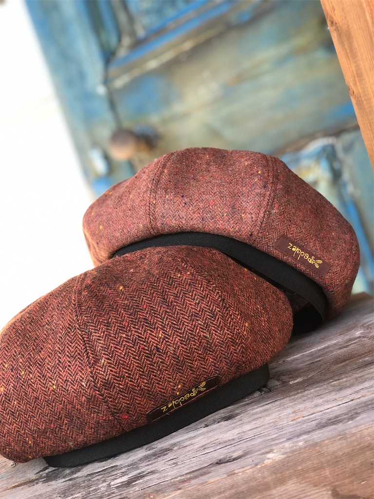 f:id:zappa38:20231020130011j:image