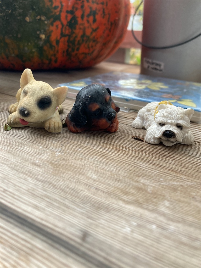 f:id:zappa38:20231020185040j:image