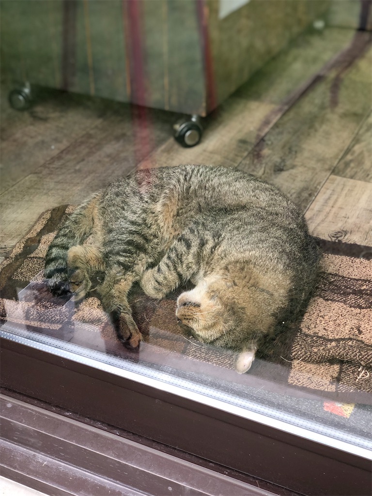 f:id:zappa38:20231020185043j:image