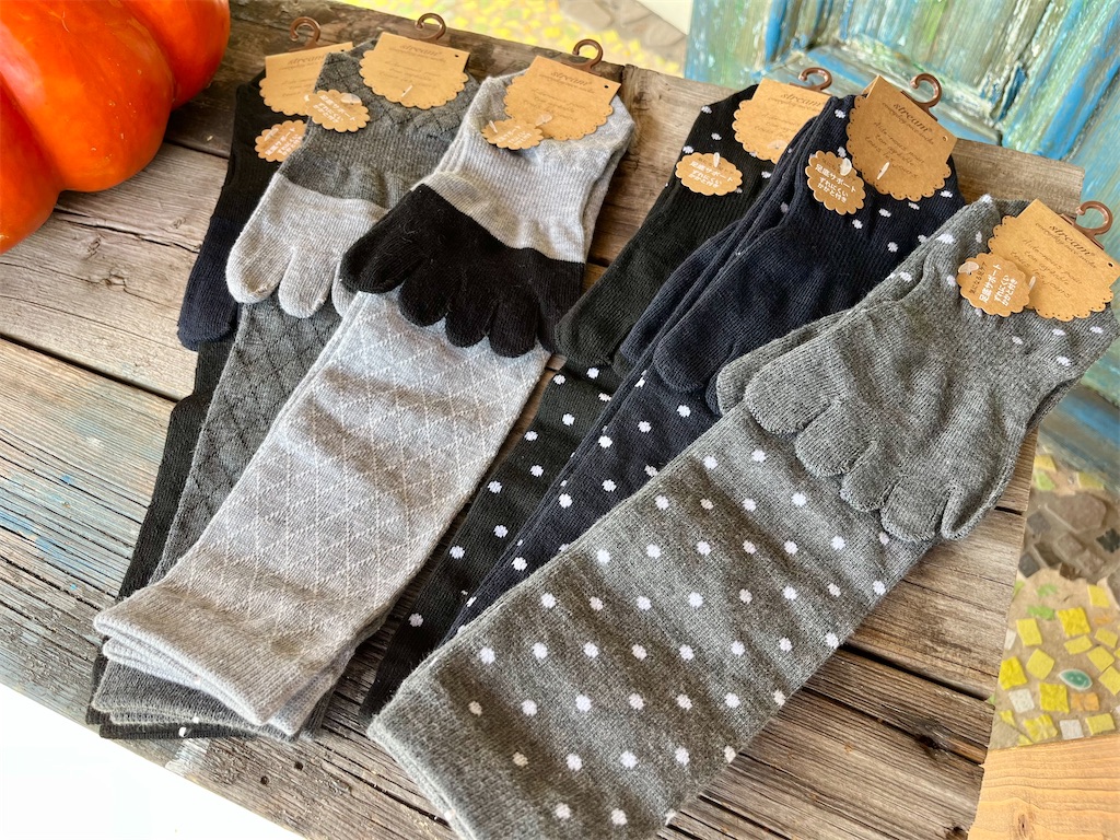 f:id:zappa38:20231022001941j:image