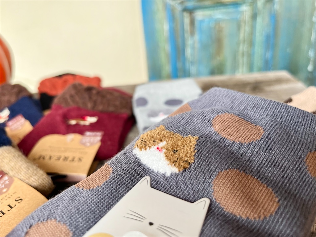 f:id:zappa38:20231022001944j:image