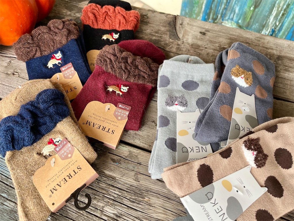 f:id:zappa38:20231022001950j:image