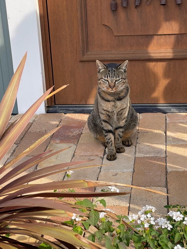 f:id:zappa38:20231024111554j:image