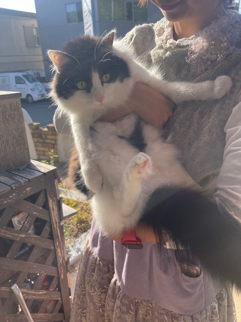 f:id:zappa38:20231024111617j:image