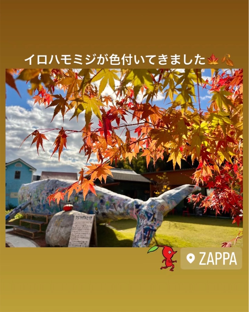 f:id:zappa38:20231029160228j:image