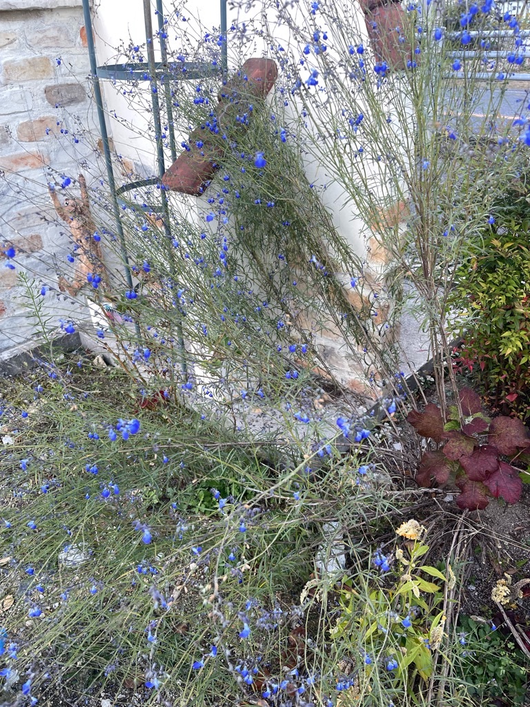 f:id:zappa38:20231029191250j:image f:id:zappa38:20231029191250j:image