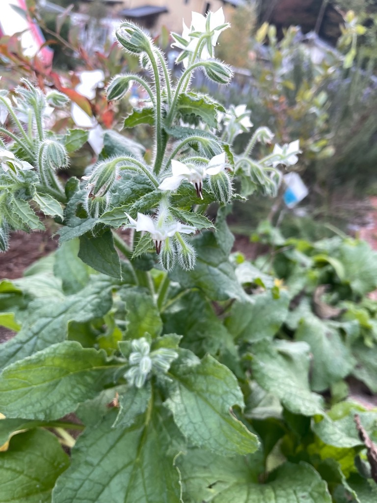 f:id:zappa38:20231029191308j:image f:id:zappa38:20231029191308j:image