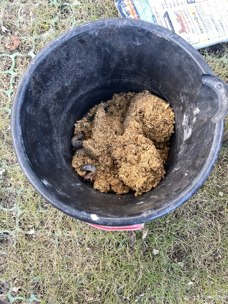 f:id:zappa38:20231029191320j:image f:id:zappa38:20231029191320j:image