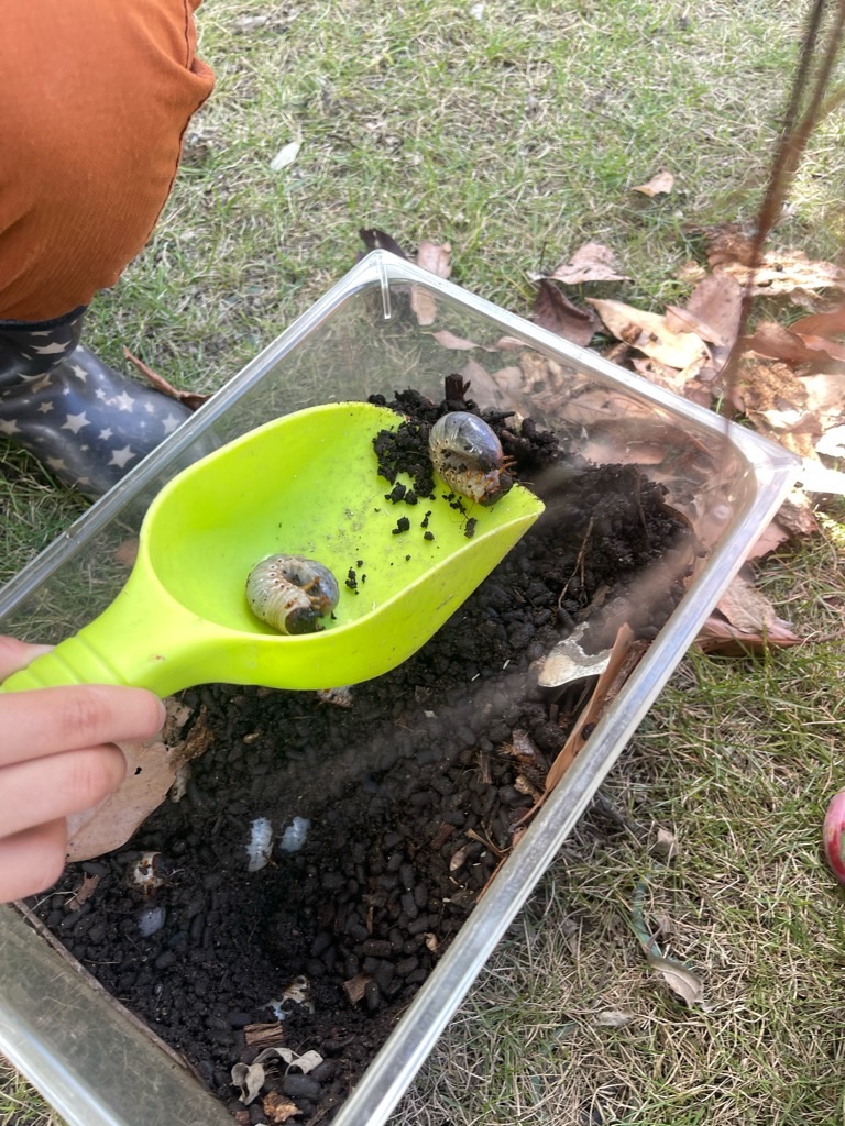 f:id:zappa38:20231029191327j:image f:id:zappa38:20231029191327j:image