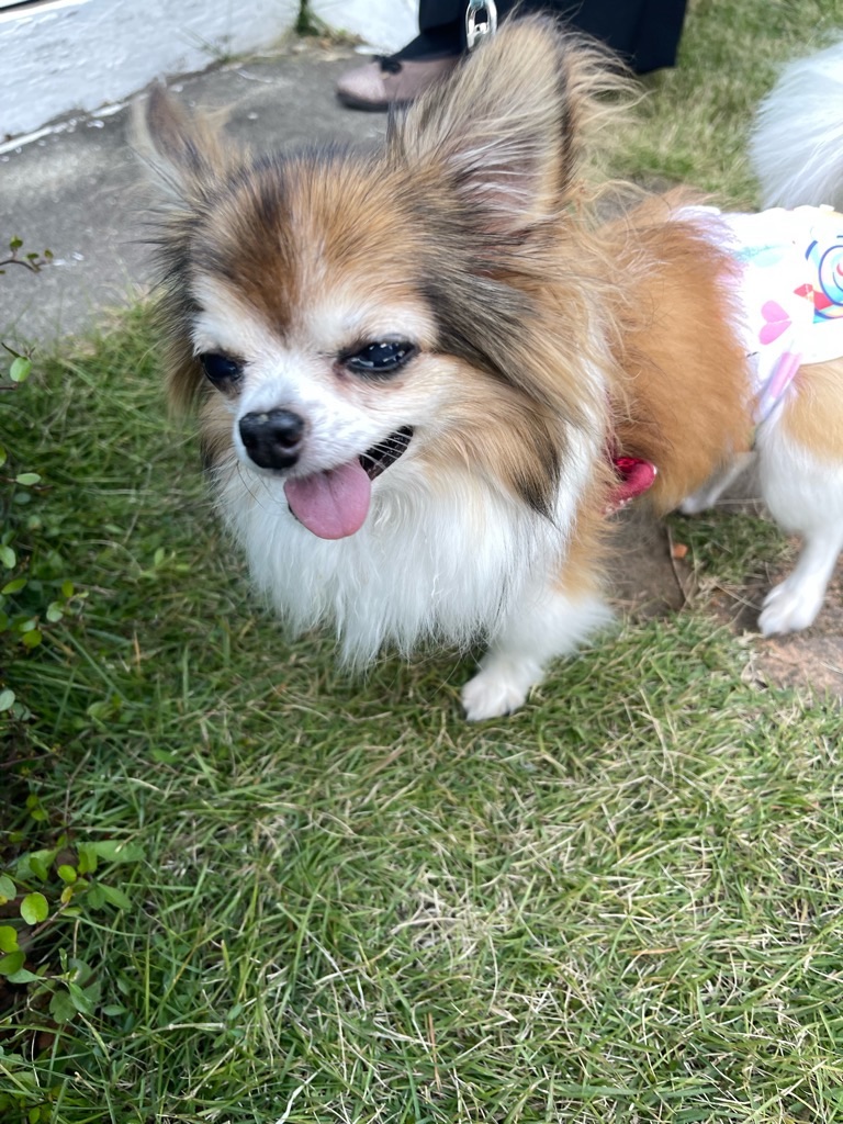 f:id:zappa38:20231029191336j:image f:id:zappa38:20231029191336j:image