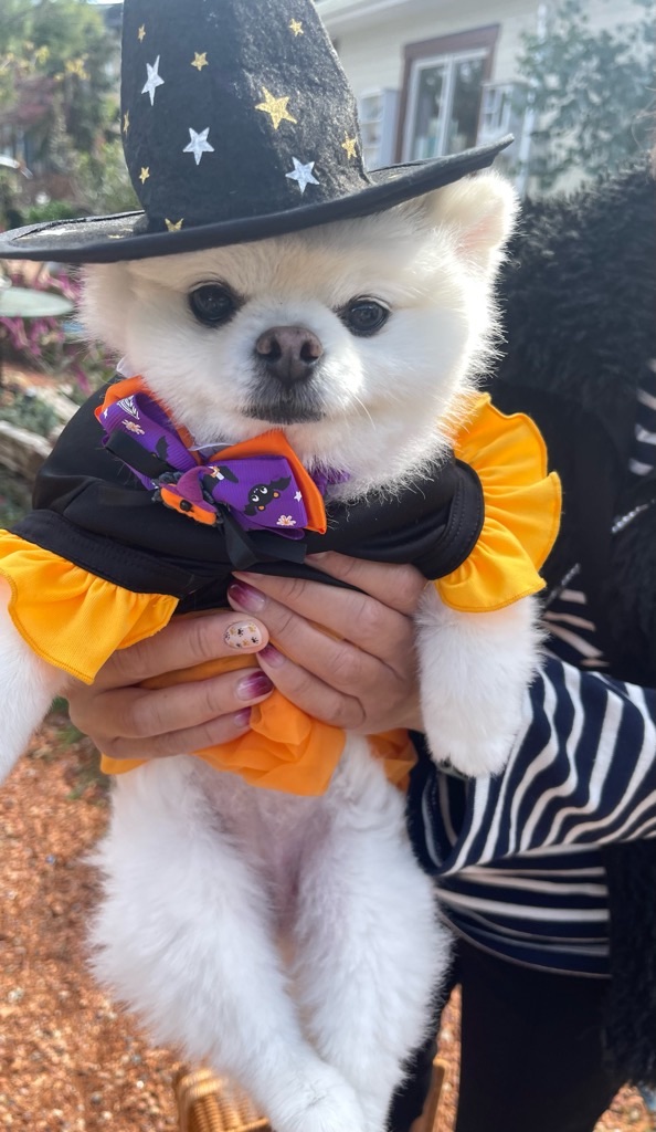 f:id:zappa38:20231029191353j:image f:id:zappa38:20231029191353j:image