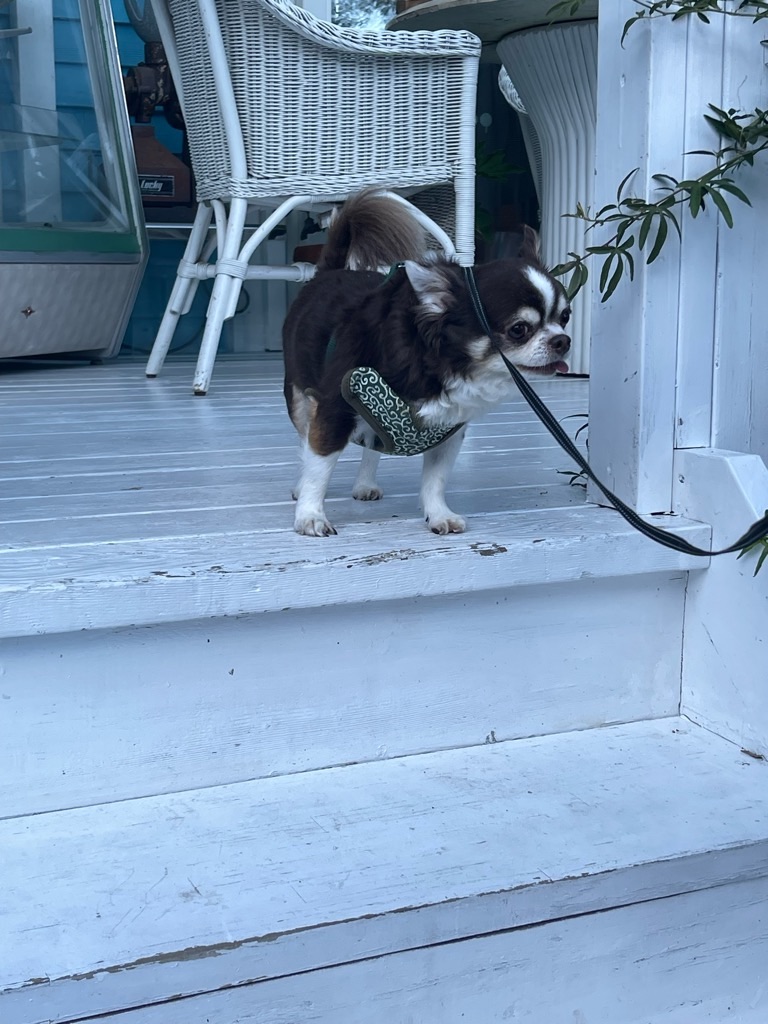 f:id:zappa38:20231029191402j:image f:id:zappa38:20231029191402j:image