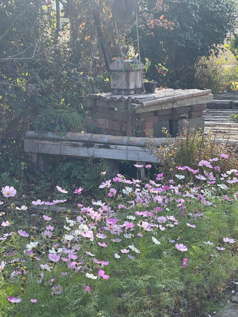 f:id:zappa38:20231128192700j:image