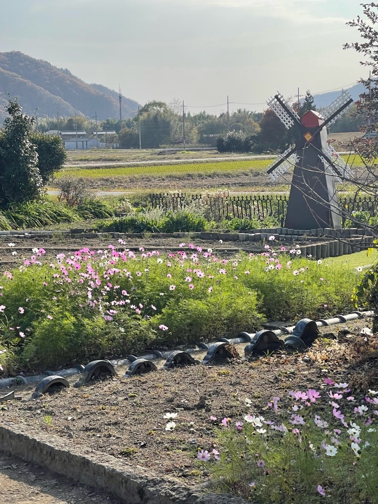 f:id:zappa38:20231128192710j:image