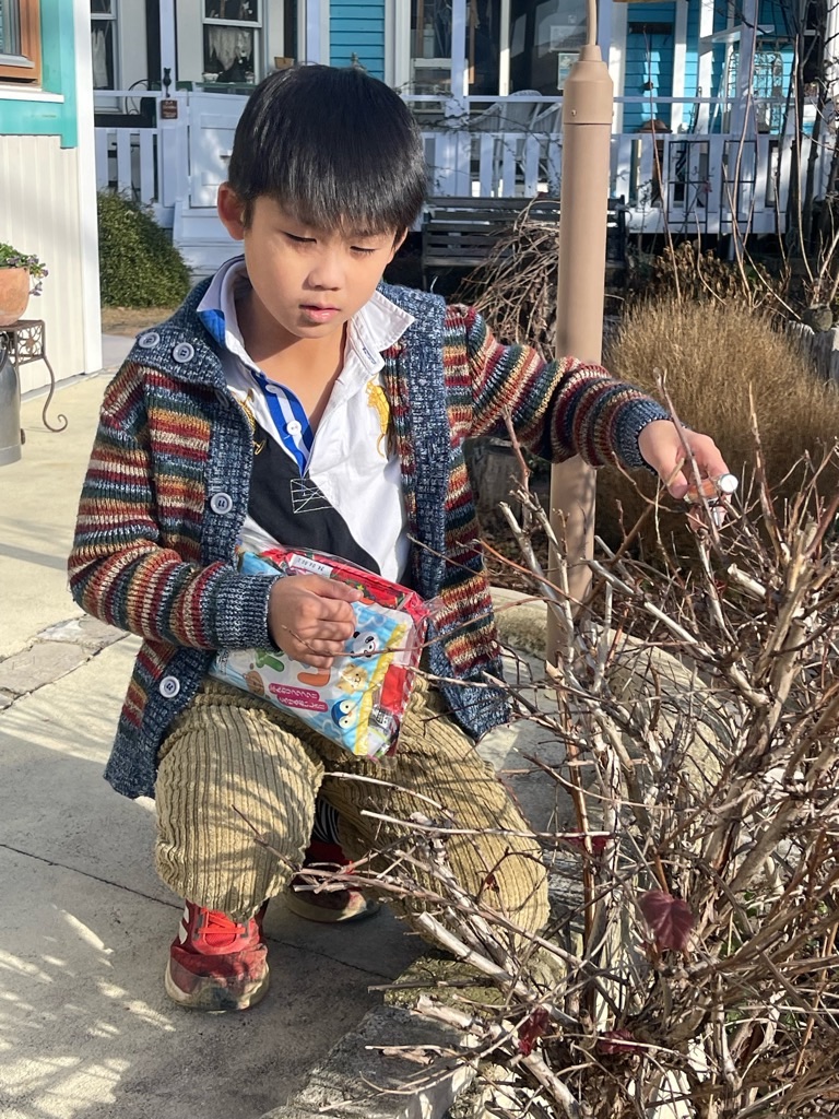 f:id:zappa38:20231224193013j:image