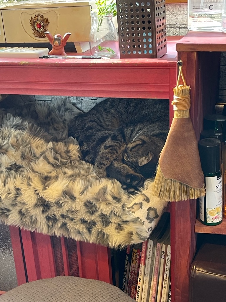 f:id:zappa38:20231229175040j:image