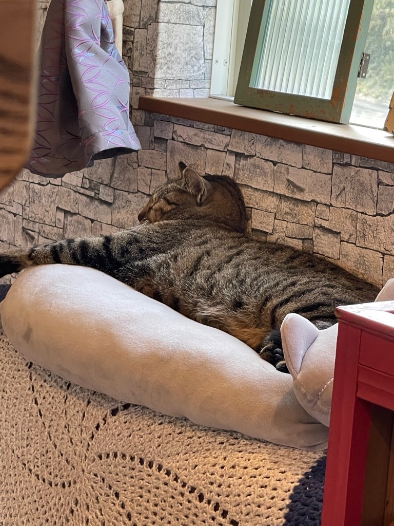 f:id:zappa38:20231229175044j:image