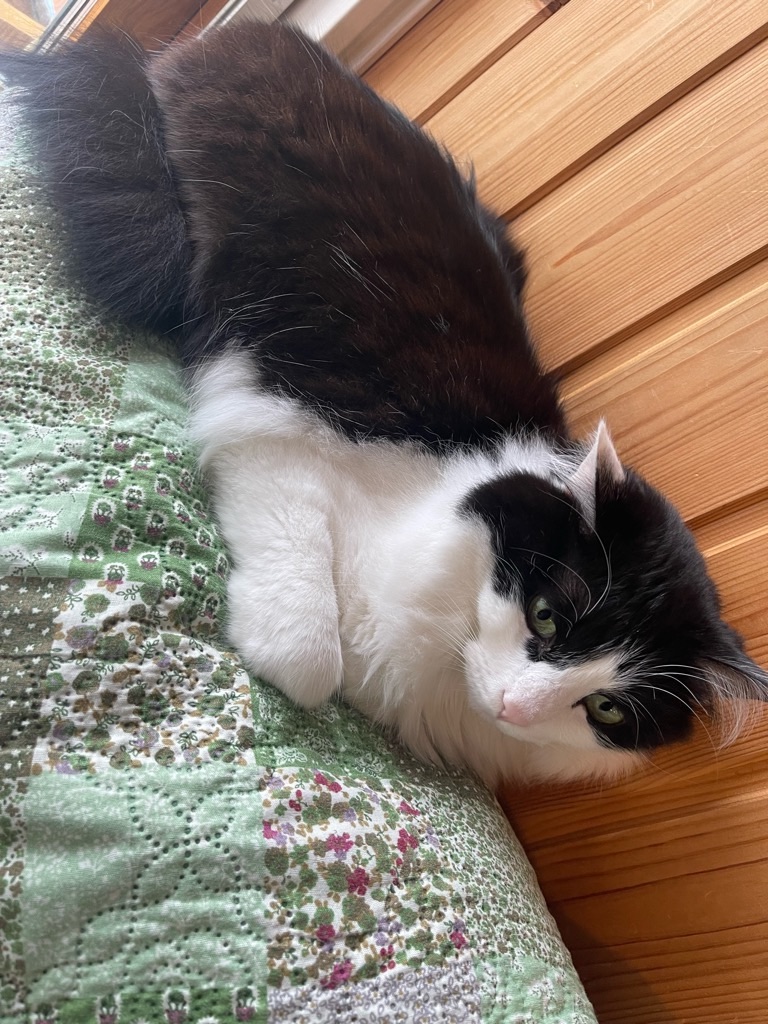 f:id:zappa38:20240106194940j:image