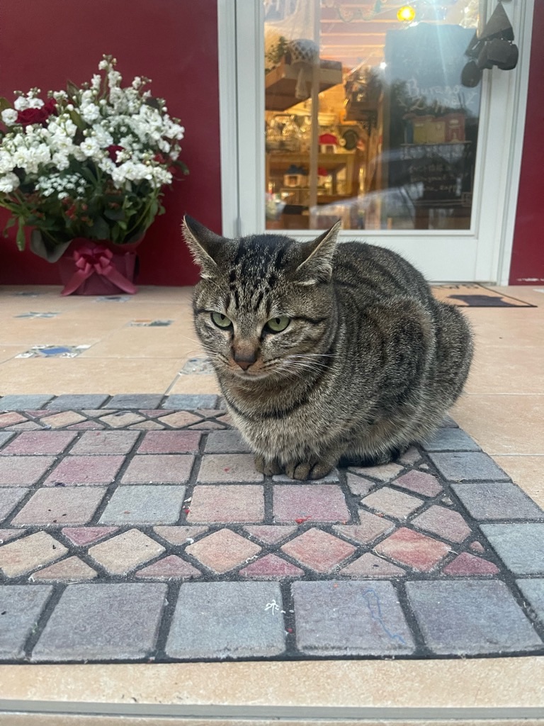 f:id:zappa38:20240122192631j:image