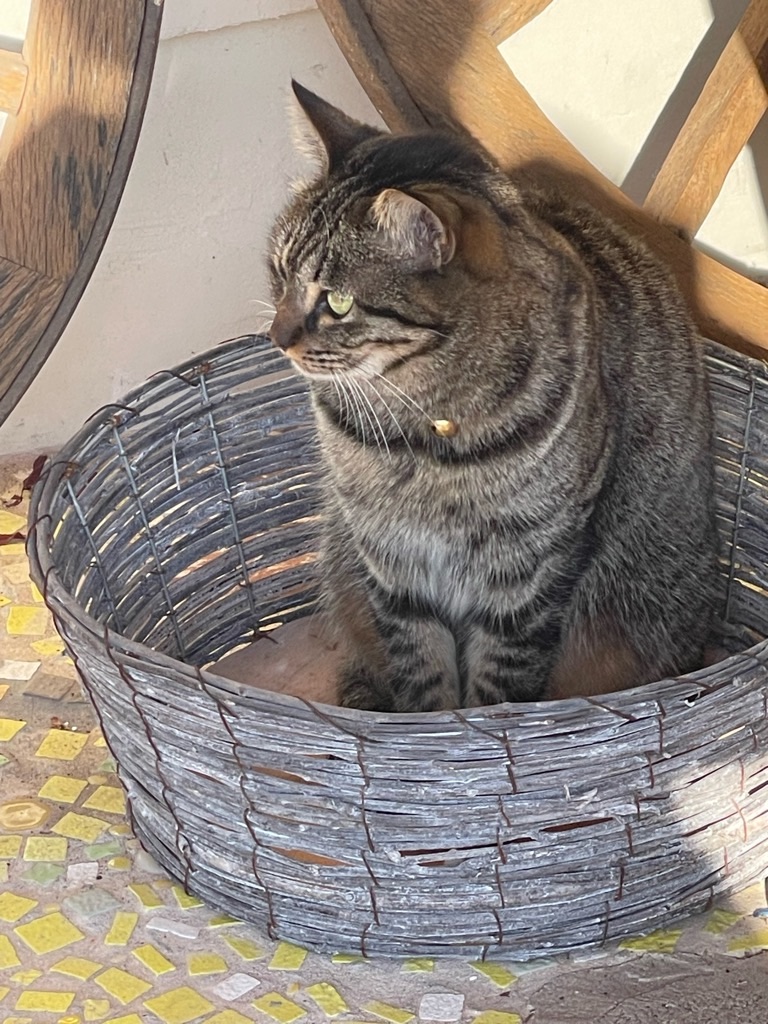 f:id:zappa38:20240122192754j:image