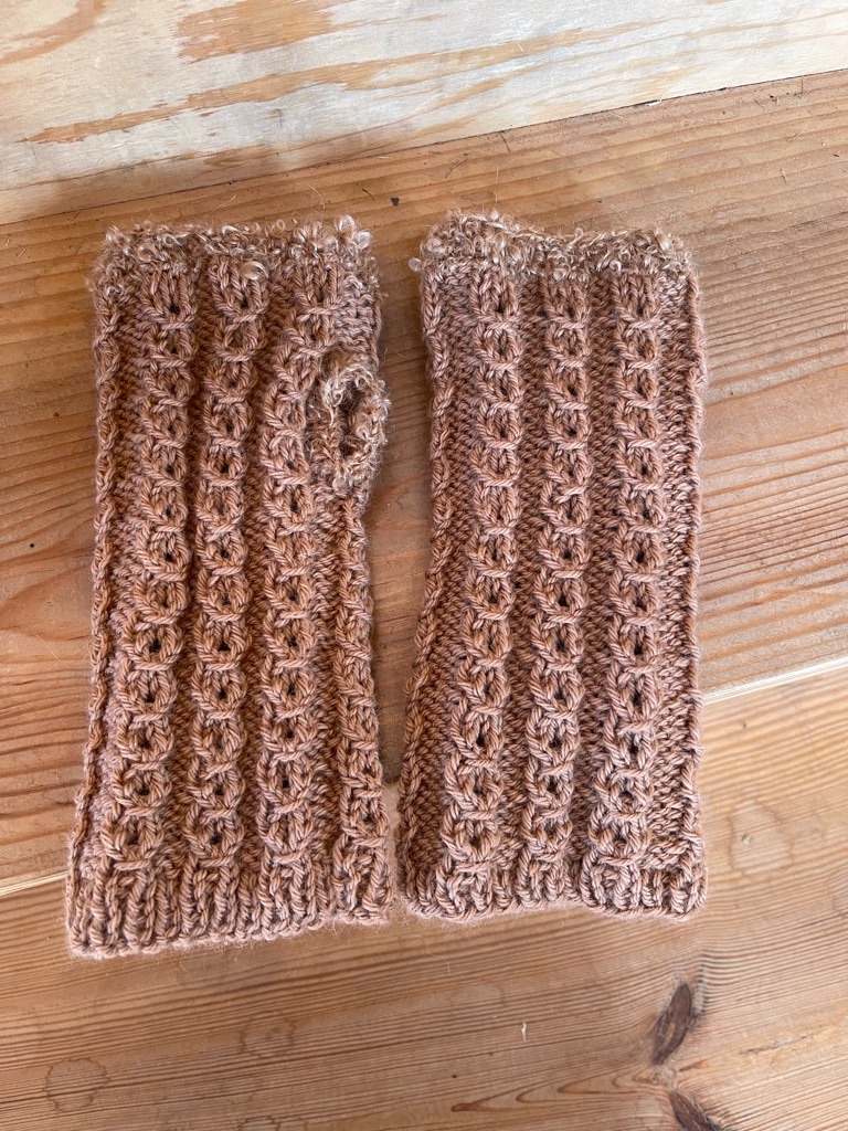 f:id:zappa38:20240126194739j:image