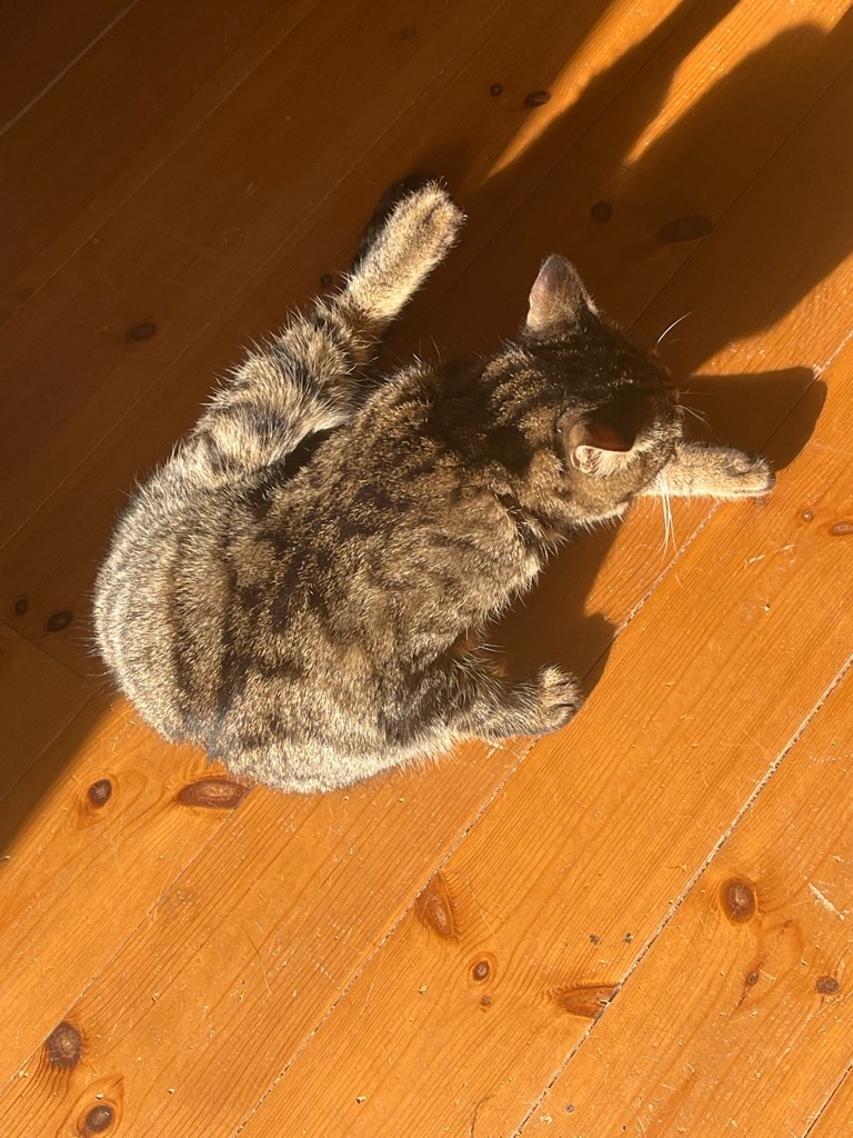 f:id:zappa38:20240126194745j:image