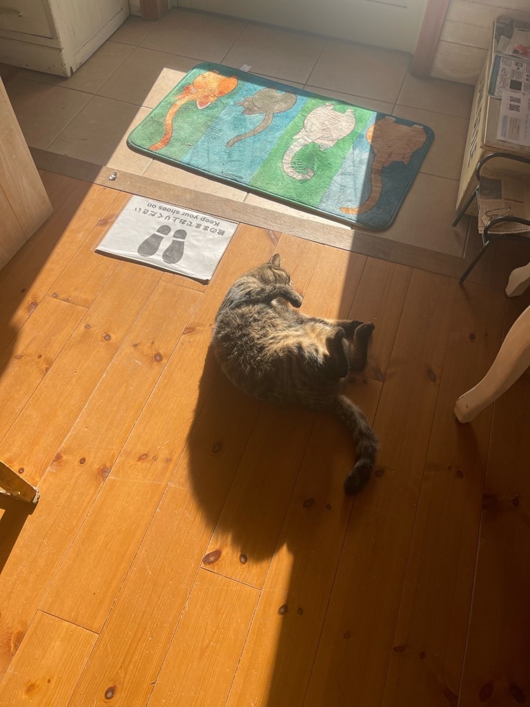 f:id:zappa38:20240126194751j:image